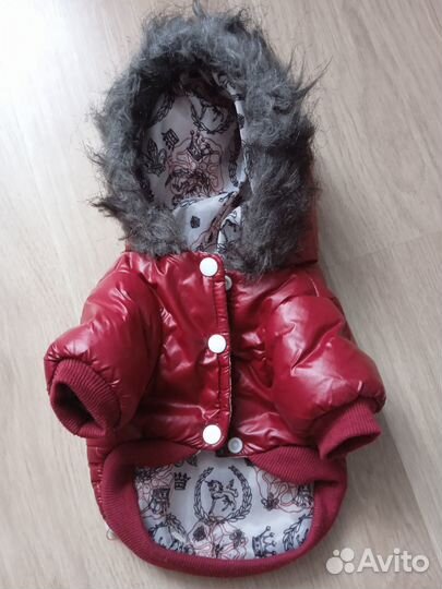 Одежда для маленьких собак s