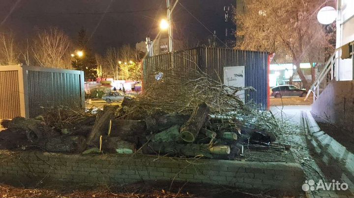 Вывести мусор