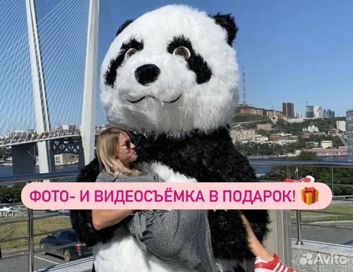 Панда / Аниматоры