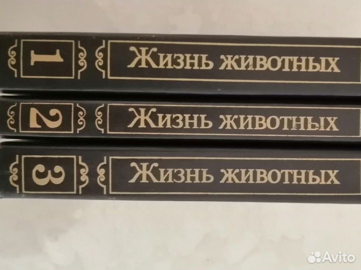 Книга А. Э. Брэм 