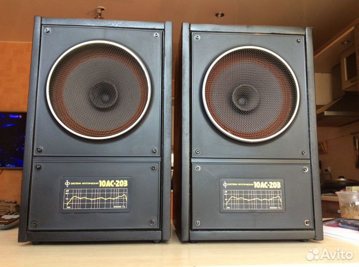 Акустика 10ас - 203