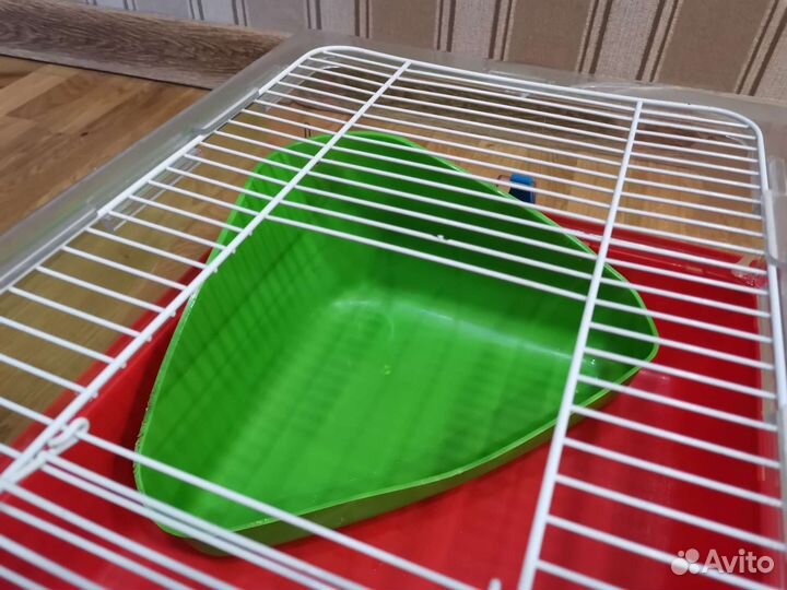 Клетка и аксессуары для морской свинки