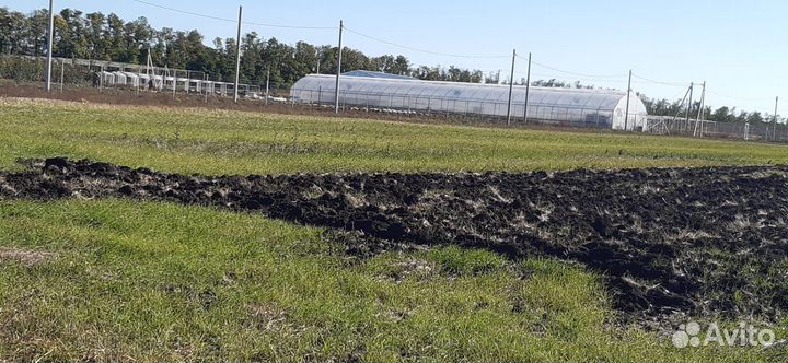 Готовый бизнес, питомник растений