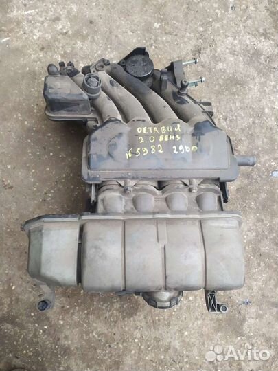 Впускной коллектор Skoda Octavia 2003 год 2.0 бенз