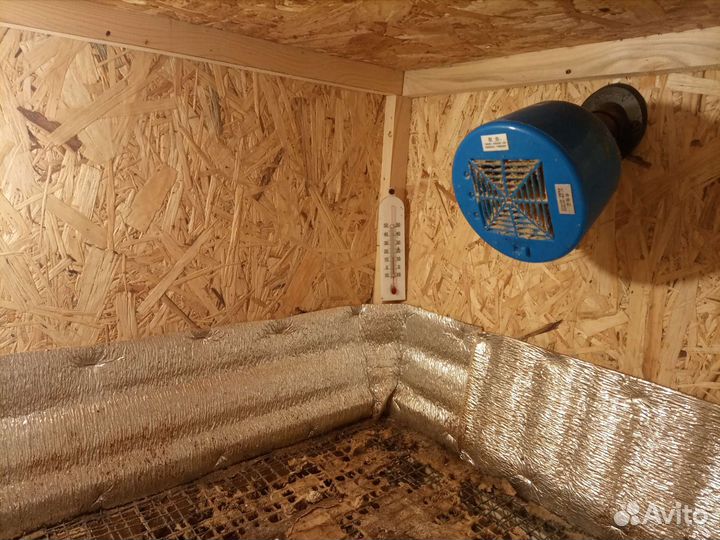 Клетка -брудер для цыплят,цыплята суточные