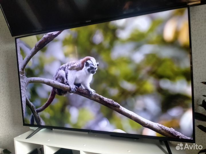 Телевизор SMART tv dexp 55