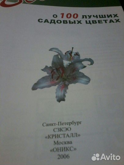 100 лучших растений