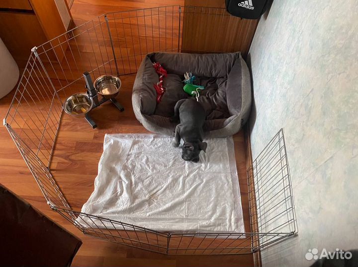 Вольер для собак