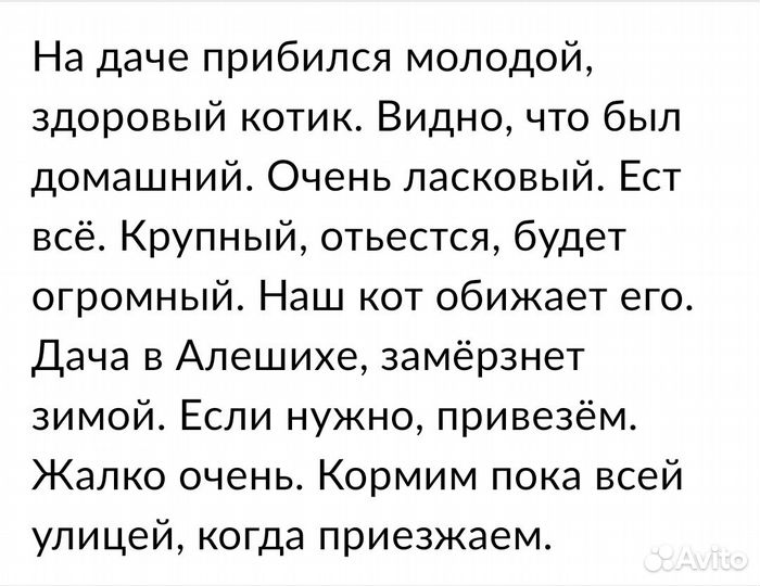 Отдам в хорошие руки бесплатно