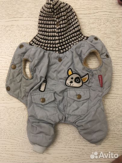 Одежда для маленьких собак xs