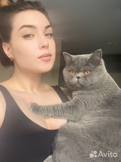 Передержка животных, зооняня