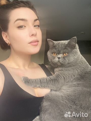 Передержка животных, зооняня