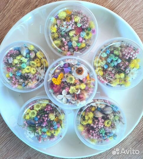 Мелкие сухоцветы для творчества самые красивые