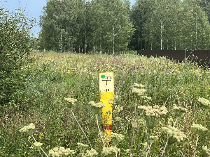 Участок 35 сот. (ИЖС)