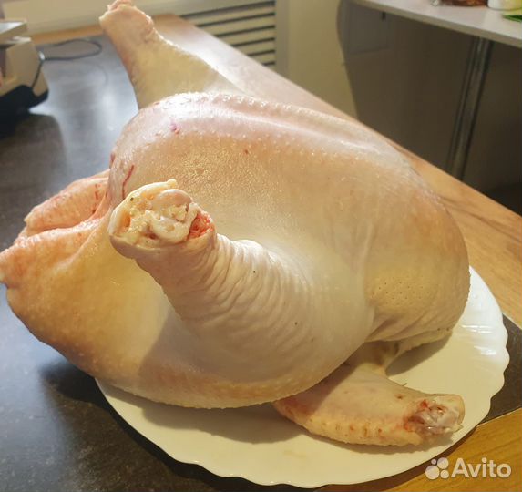 Мясо бройлера