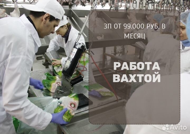 Птицефабрика / Оператор линии