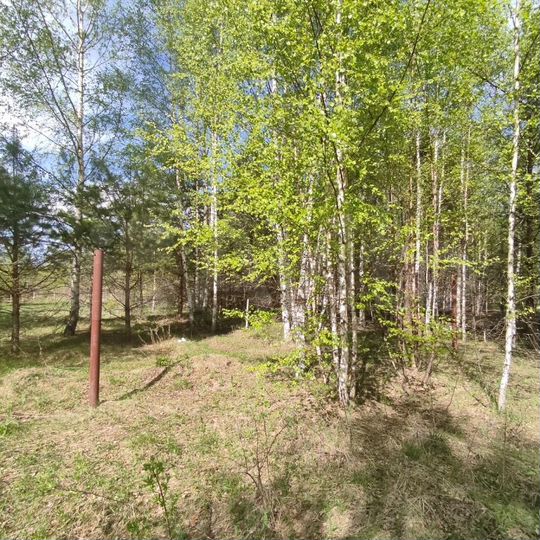 Участок 19 сот. (ИЖС)