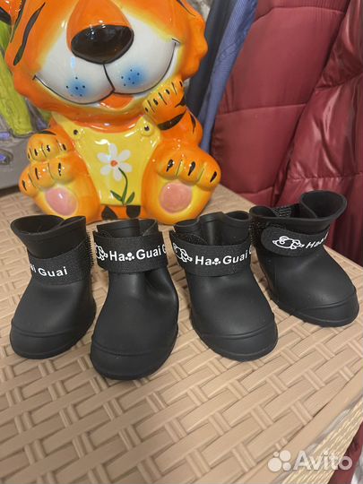 Ботинки для маленьких собак