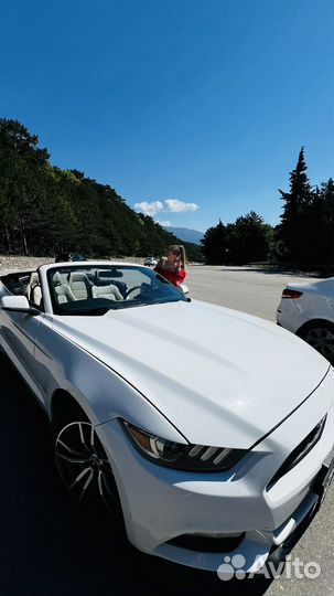 Автопрокат Ялта