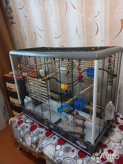 Клетка для средних попугаев
