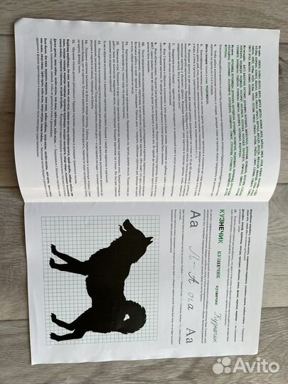 240 картинок -пособие Зайцева