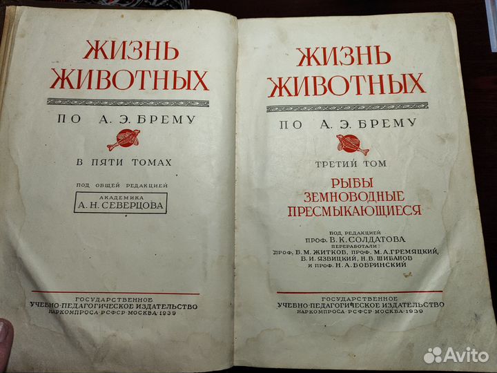 Книга жизнь животных Брэм 1939