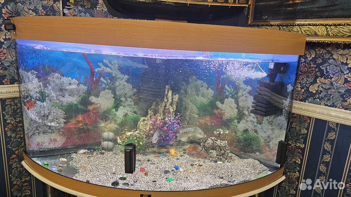 Аквариум 350л