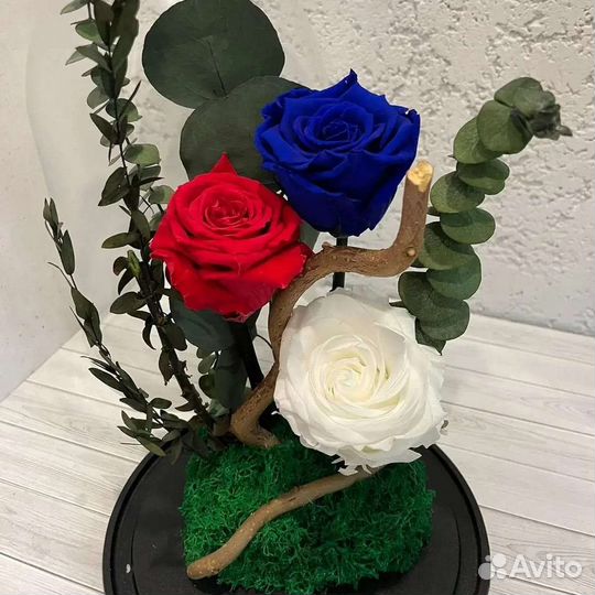 Роза в колбе