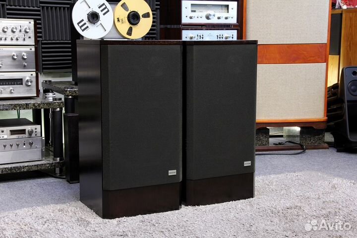 Diatone DS-50cs