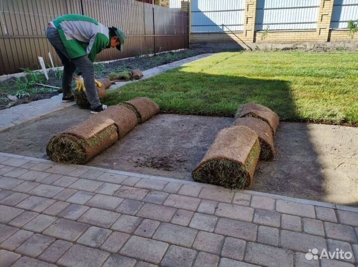 Купить рулонный газон