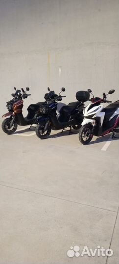 Аренда скутера