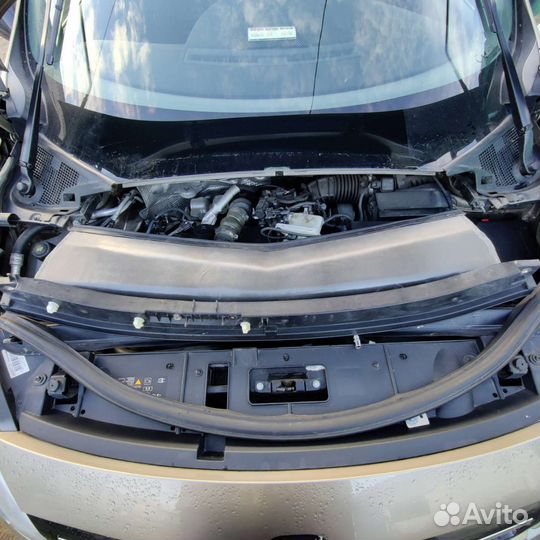 Жабо сценик3