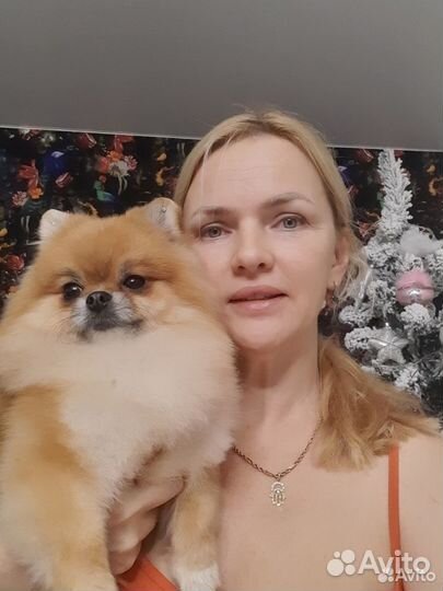 Груминг, стрижка собак Кузнечиха