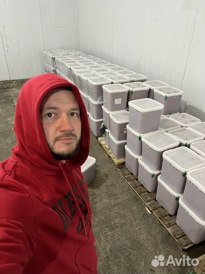 Красная икра оптом