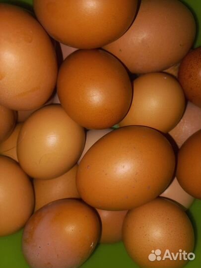 Козье молоко