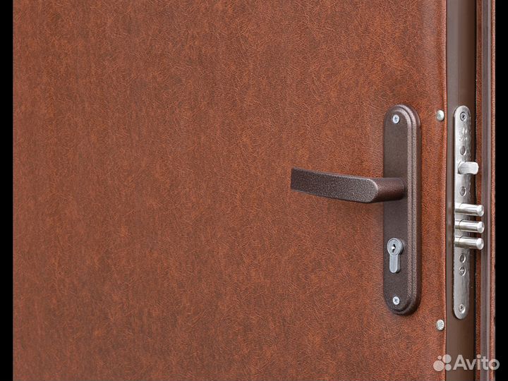 Железная дверь с порошковым покрытием