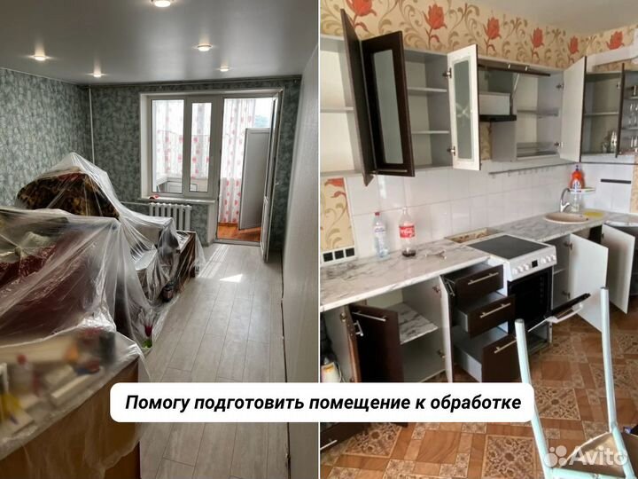 Уничтожение клопов обработка тараканов Дезинфекция