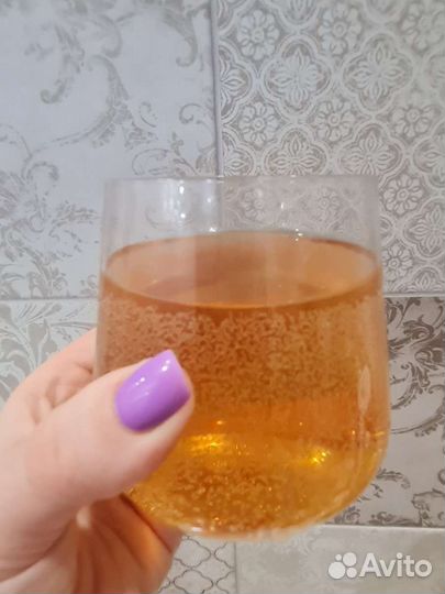 Чайный гриб