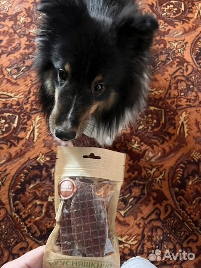 Натуральные лакомства для собак