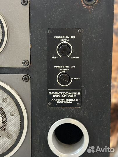 Колонки Электроника 100ас-060