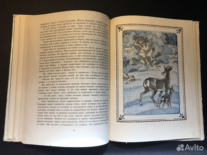 С ружьем под курткой, Кухта, 1977