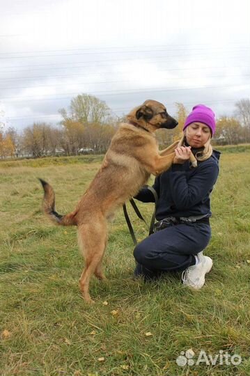 Очаровательный Бурбон