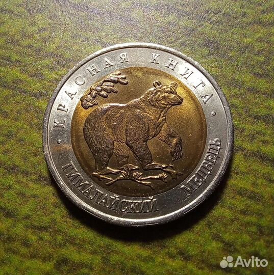 50р 1993г Гималайский медведь UNC