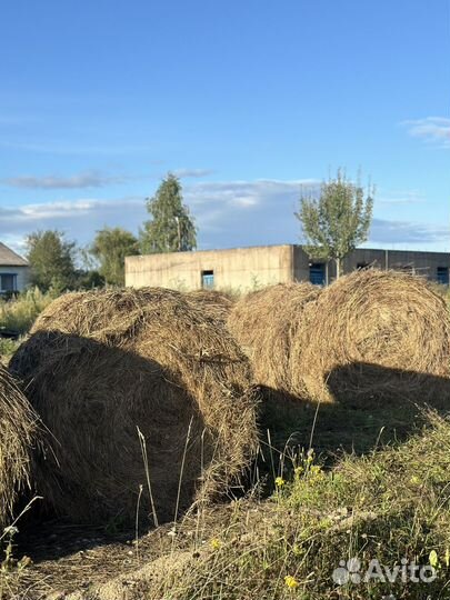 Сено рулоны 350-370 кг