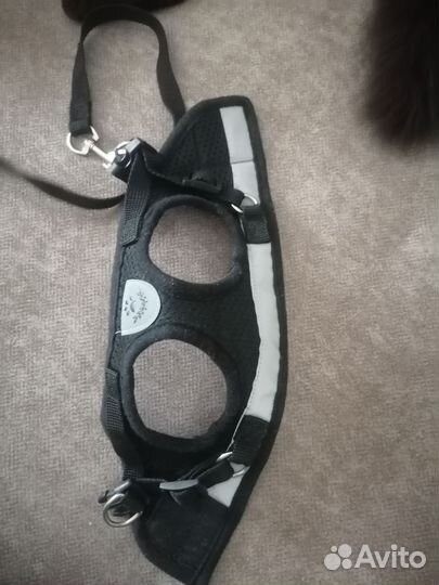 Шлейка для кошки