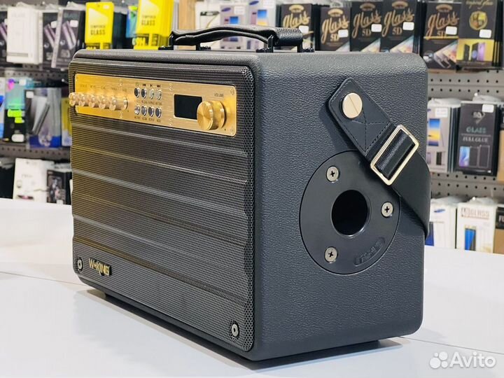 Мощная колонка караоке W-King K6S 100W