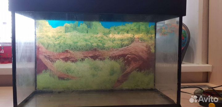 Аквариум