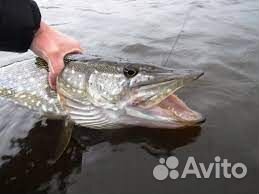 Бас (Силиконовая приманка)