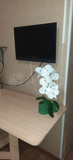 Квартира-студия, 14 м², 1/5 эт.