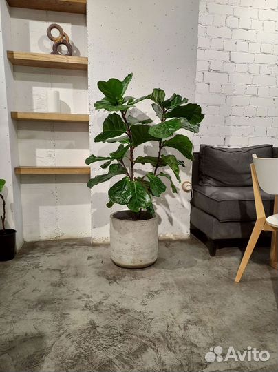 Кашпо, Вазоны, Горшки под заказ из бетона арт 188